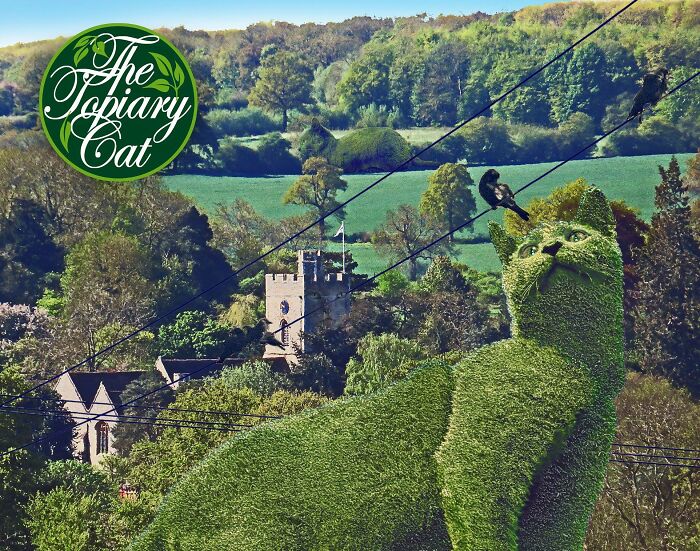 The 75-Year-Old Artist Has Been Creating Giant And Surreal Bushes In Honor Of The Deceased Cat For 5 Years (73 Pics)-Interview