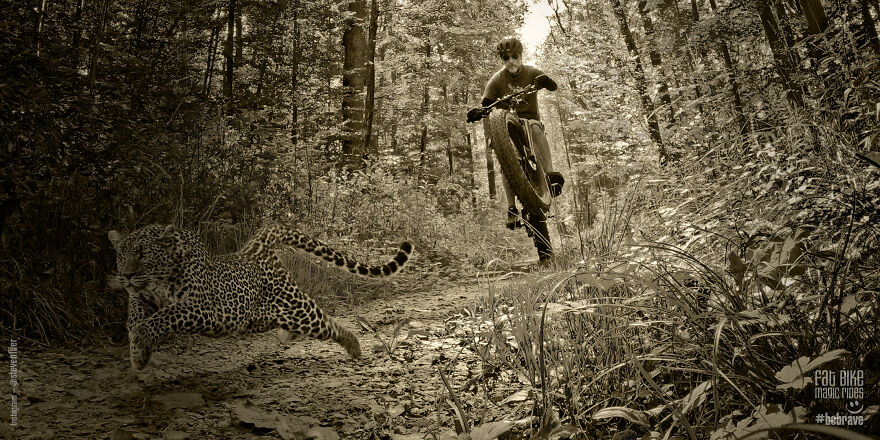 My Magic Fat Bike Rides Or I Can See Dragons Fly … My Magic Fat Bike Rides Or I Can See Dragons Fly …