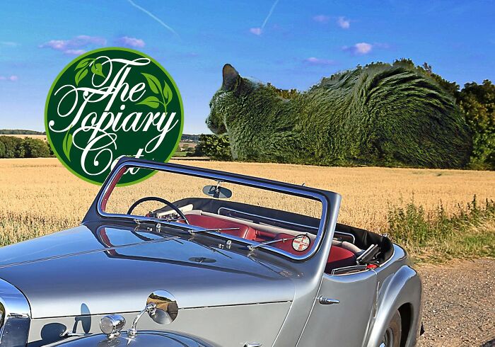 The 75-Year-Old Artist Has Been Creating Giant And Surreal Bushes In Honor Of The Deceased Cat For 5 Years (73 Pics)-Interview