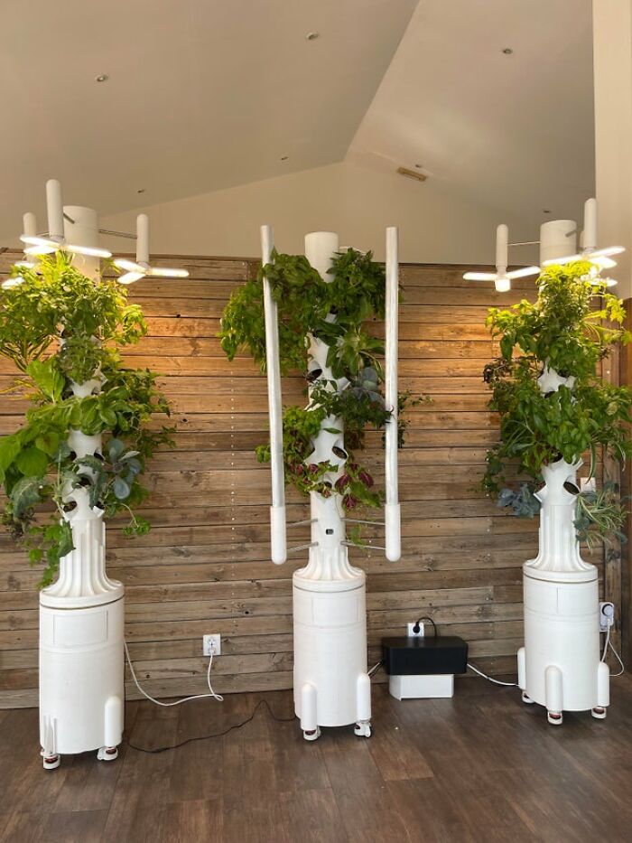 Mis torres de plantas impresas en 3D :)