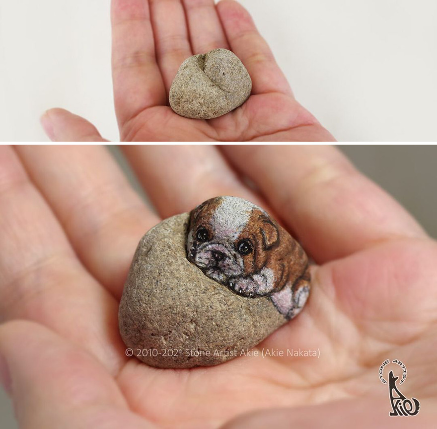Akie Nakata, Japanese Artist Turns Stones Into Art And The Result Is Amazing (New Pics)