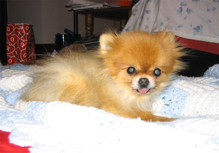 30 Incredibly Bizarre Things People Saw Happen Yet Others Refuse To Believe They Did