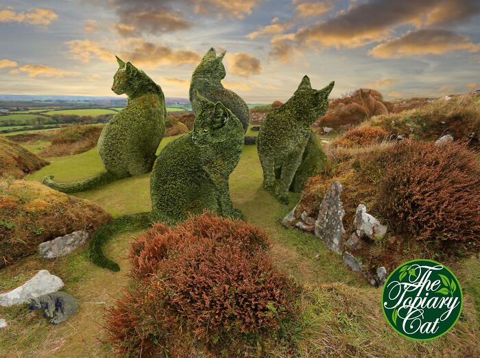 The 75-Year-Old Artist Has Been Creating Giant And Surreal Bushes In Honor Of The Deceased Cat For 5 Years (73 Pics)-Interview