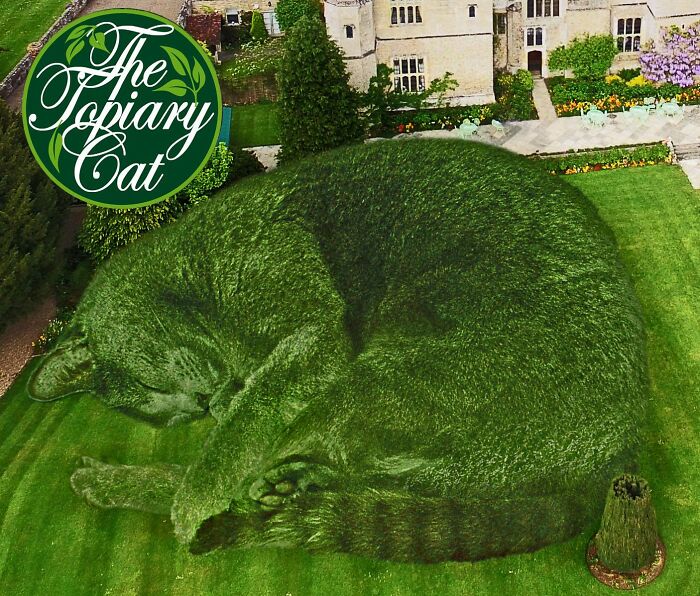 This 75-Year-Old Artist Creates Edits Of Bushes In Honor Of His Deceased Cat