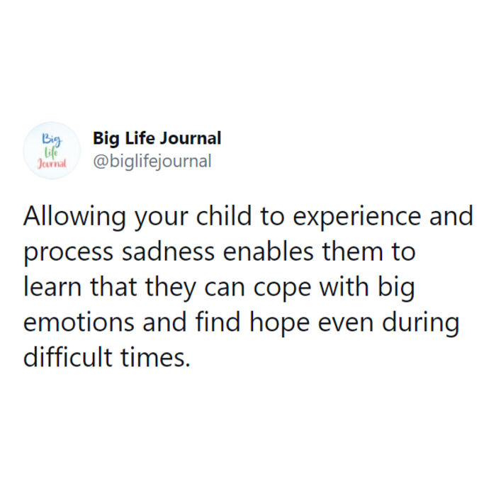 Psychological-Parenting-Tips-Big-Life-Journal