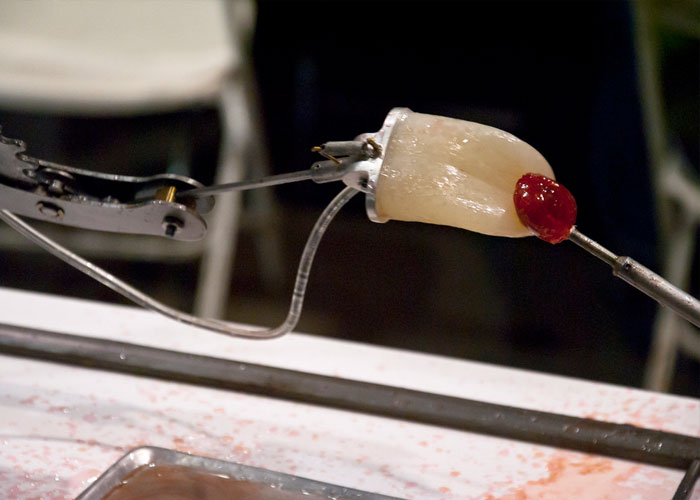 30 ‘Today I Learned’ Facts That Show It’s Never Too Late To Learn (New Pics)