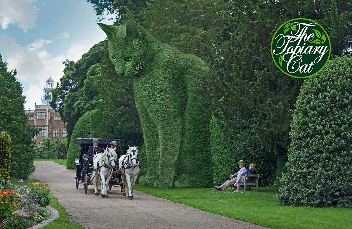 This 75-Year-Old Artist Creates Edits Of Bushes In Honor Of His Deceased Cat