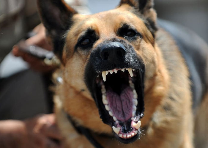 30 Life-Saving Tips That Aren't Hard To Remember But Can Make A Huge Difference