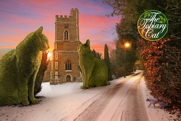 This 75-Year-Old Artist Creates Edits Of Bushes In Honor Of His Deceased Cat