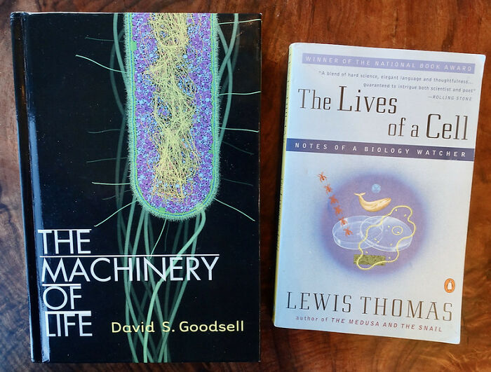 35 Teachers Reveal What They Want Their Students To Know But Don’t Have The Guts To Tell Them In Person 