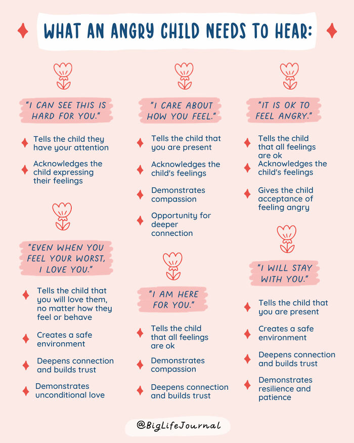 Psychological-Parenting-Tips-Big-Life-Journal