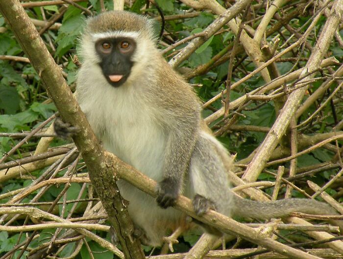 29 Outdated Words And Phrases Some Older Folks Use That Puzzle Millennials And Gen Zers In This Online Group