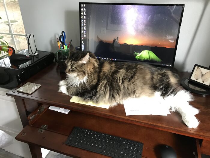 My Personal Assistant Handles All The Paperwork