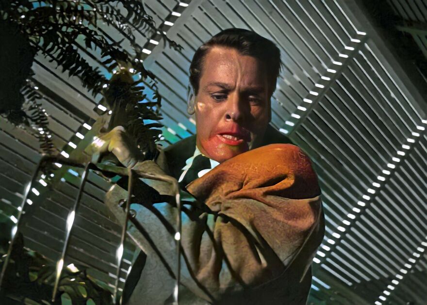 What Would Your Favorite B&w Horror Movie Look Like In Color?