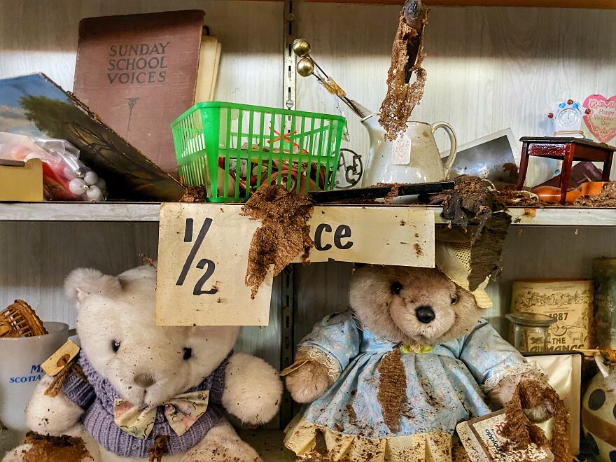 Abandoned Antique Store Time Capsule Abandoned Antique Store Time Capsule