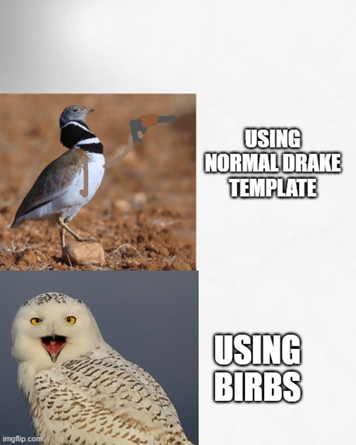 I Liek Birbs