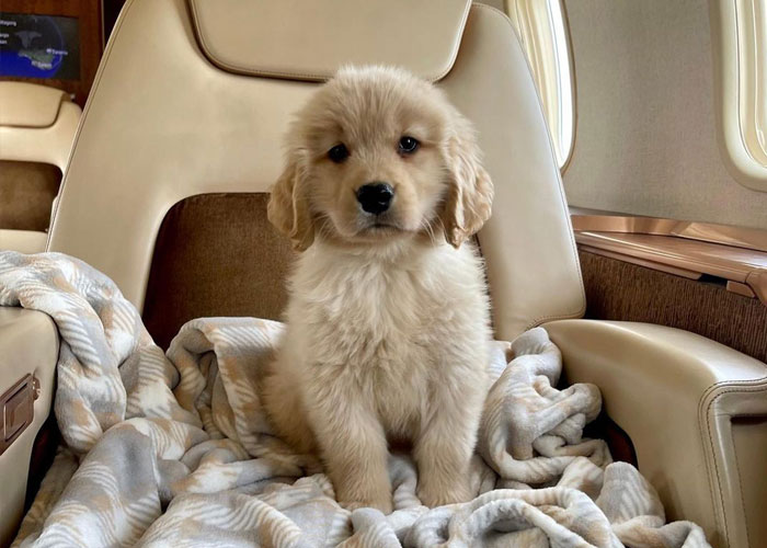 30 Things That Super Rich People Actually Spend Their Money On, As Shared By People Who've Worked For Them