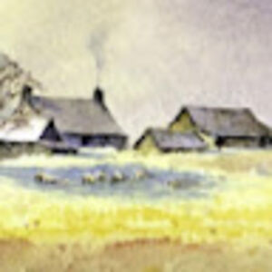 margaretgenders avatar