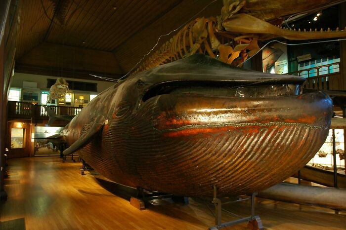 Interesting-Artifact-Pics