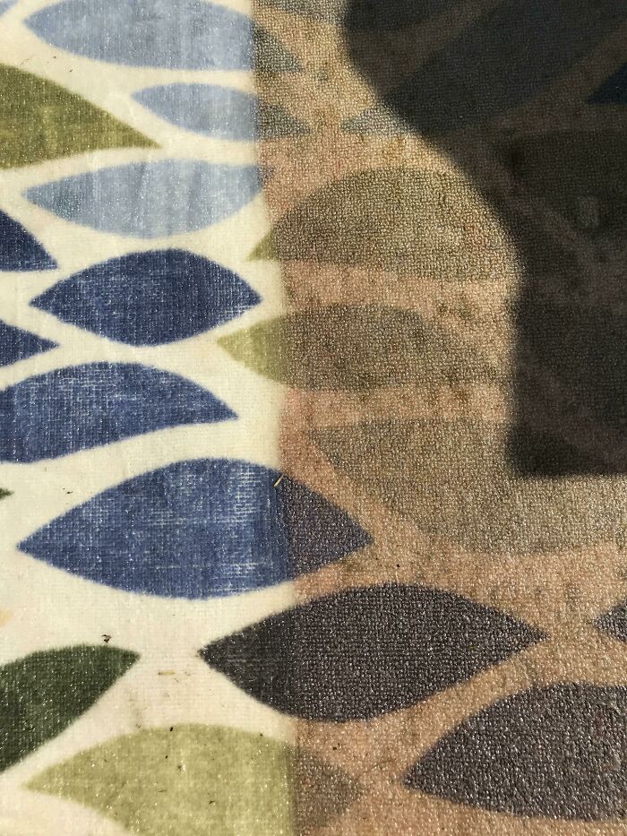 Got My Rug Back Today