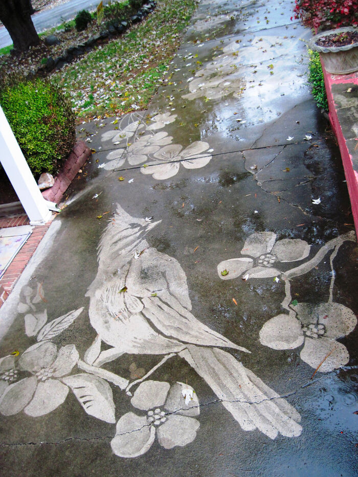 Power Washed Birds, Butterflies, And Flowers On A Dirty Driveways (By Dianna Wood)