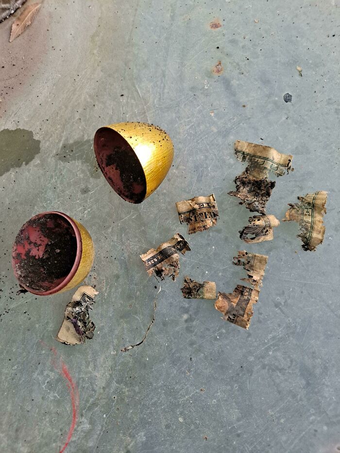 Three Years Ago I Hid A Golden Money Egg For An Easter Egg Hunt But The Egg Was Never Found... Until Now