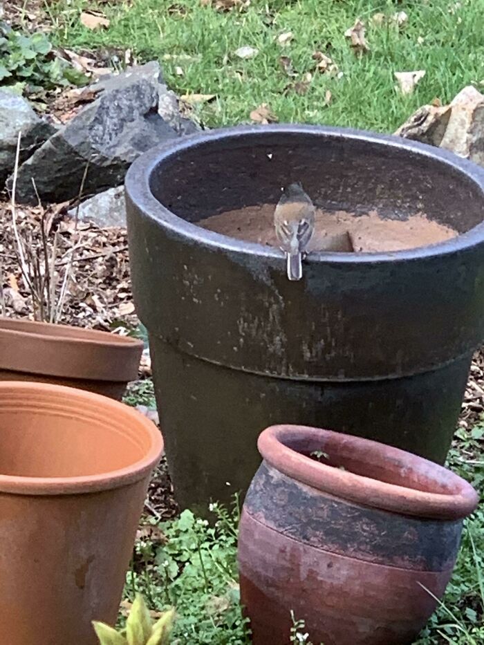 Not Perfect, But Quite Satisfying