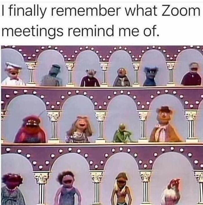 Zoom Meetings!