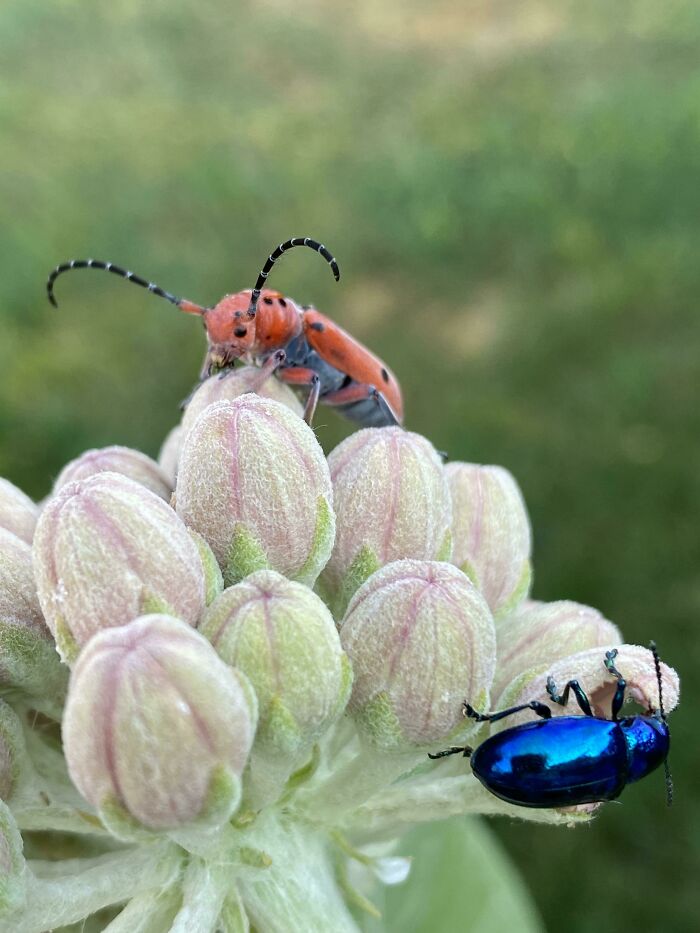 A Lovely Evening Photoshoot