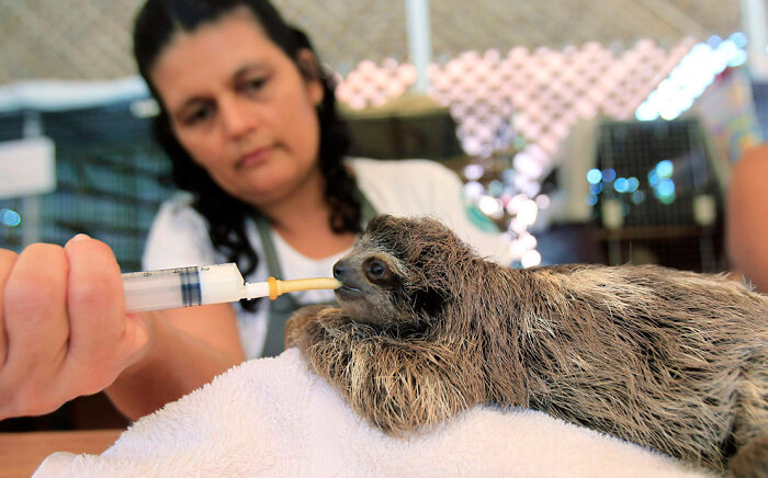 Look At This Baby Drinking
