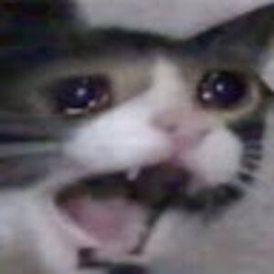 catherinesullivan avatar