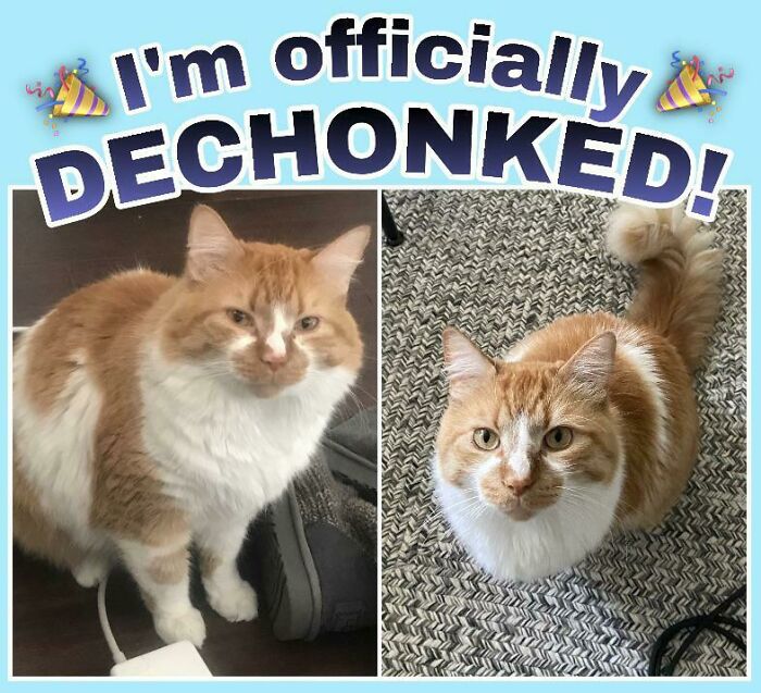 Was Told Ernie Would Be Appreciated Here