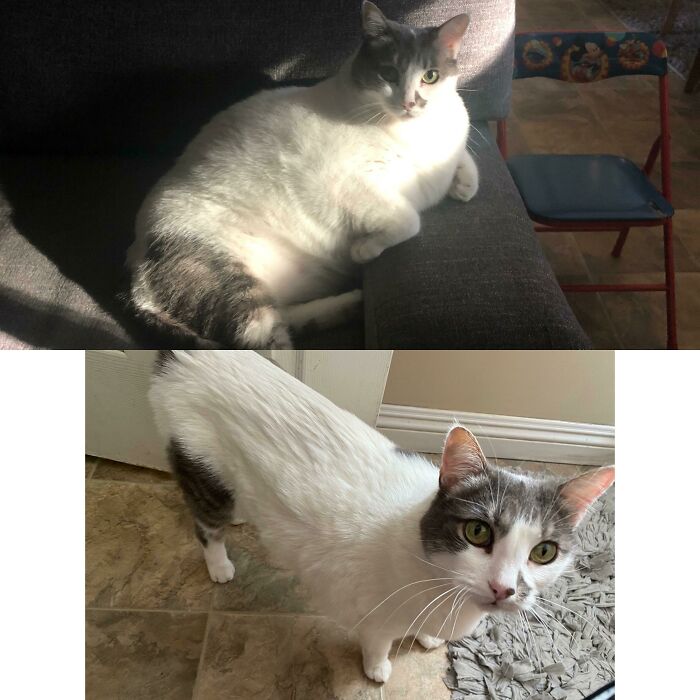 Everyone Stop And Look At Lolly’s Progress! I’m So Proud Of Her