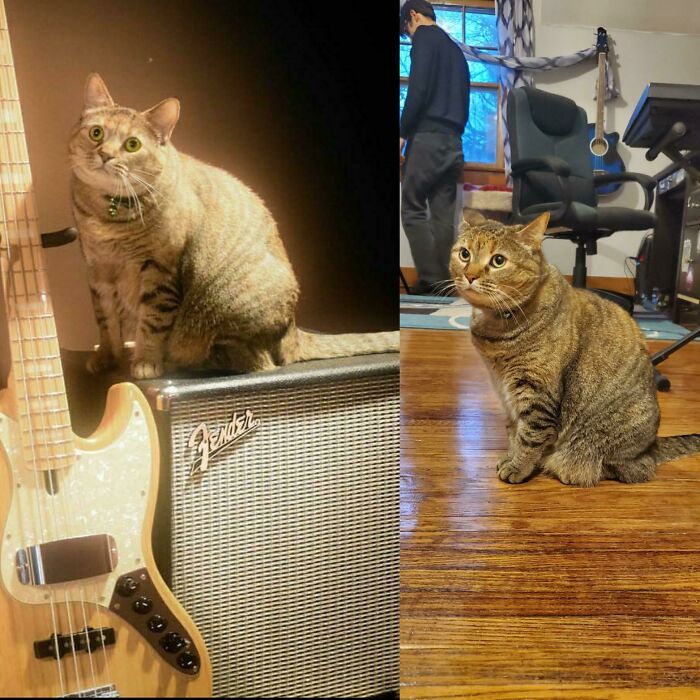 Shes Making Some Amazing Progress, I'd Say