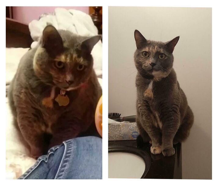 What A Glow-Up After A Few Years Worth Of Mistakes!