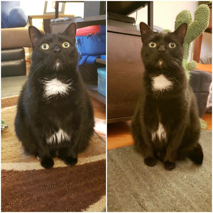 This Sub Has Been A Big Inspiration For Sushi. We're Down 1.7 Lbs So Far From October!