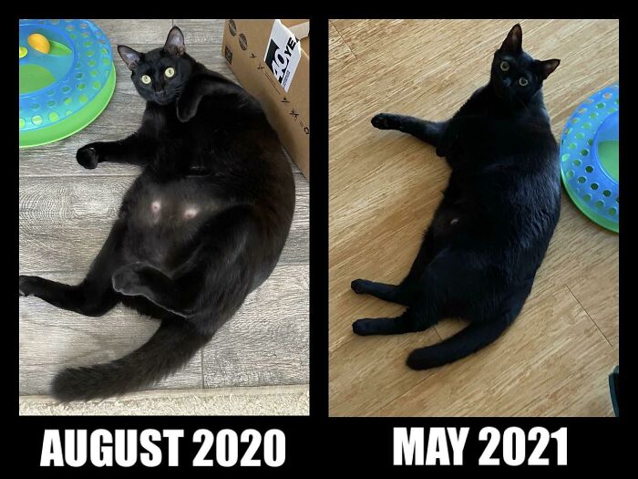 2 Lbs Down, At Least One More To Go! My Big Girl Is Becoming A Little Lady