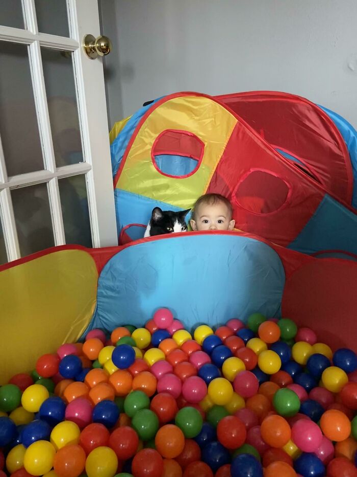 My Daughter And Our Cat Look Like They’re Up To Something