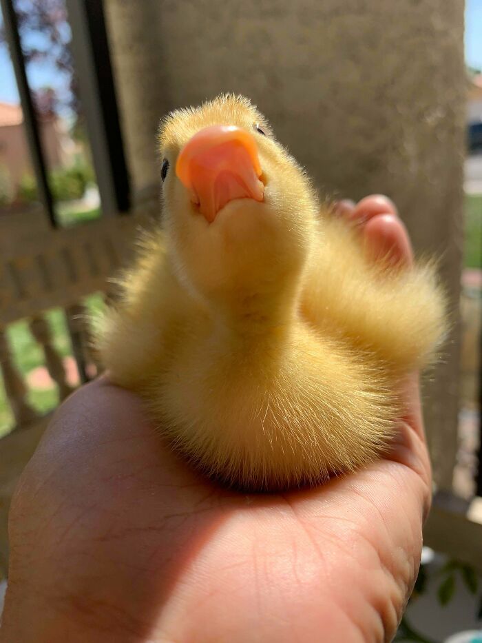 Chad Enjoying The Sun