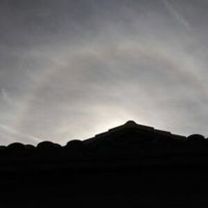 sherricohen114 avatar