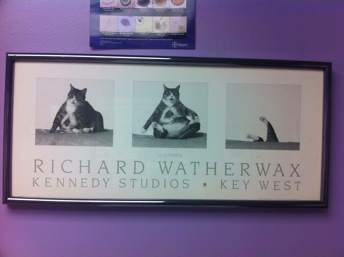 Saw This In My Vet's Office... Thought You Guys Would Appreciate It