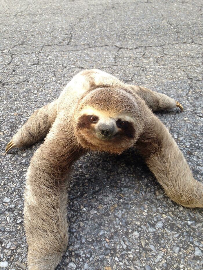 I Helped This Girl Cross The Street