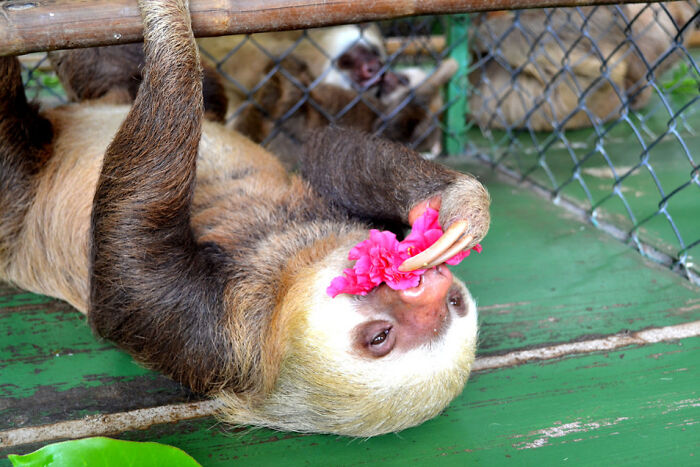Always Take Time To Stop And Smell The Flowers, Then Maybe Eat Them