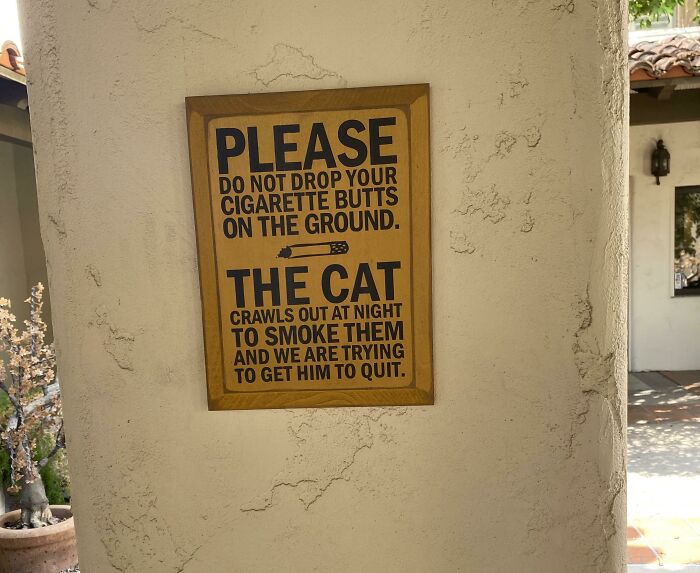 My New Veterinarian And I Will Get Along Great