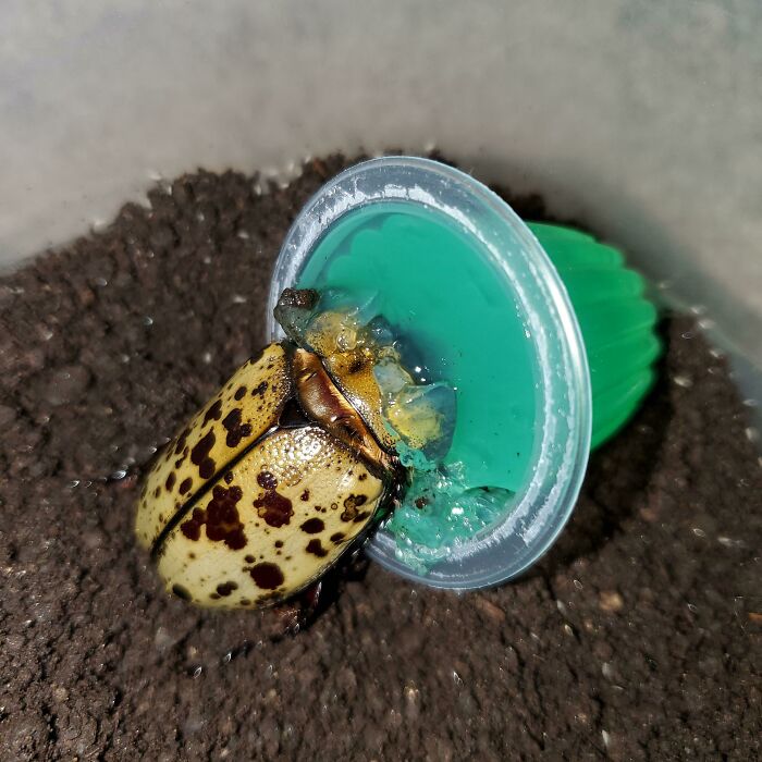 Someone Must Be Hungry