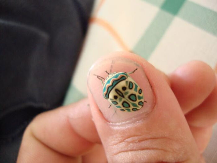 Colorful bug with intricate patterns resting on a person's thumb, showcasing bugs are truly spectacular up close.