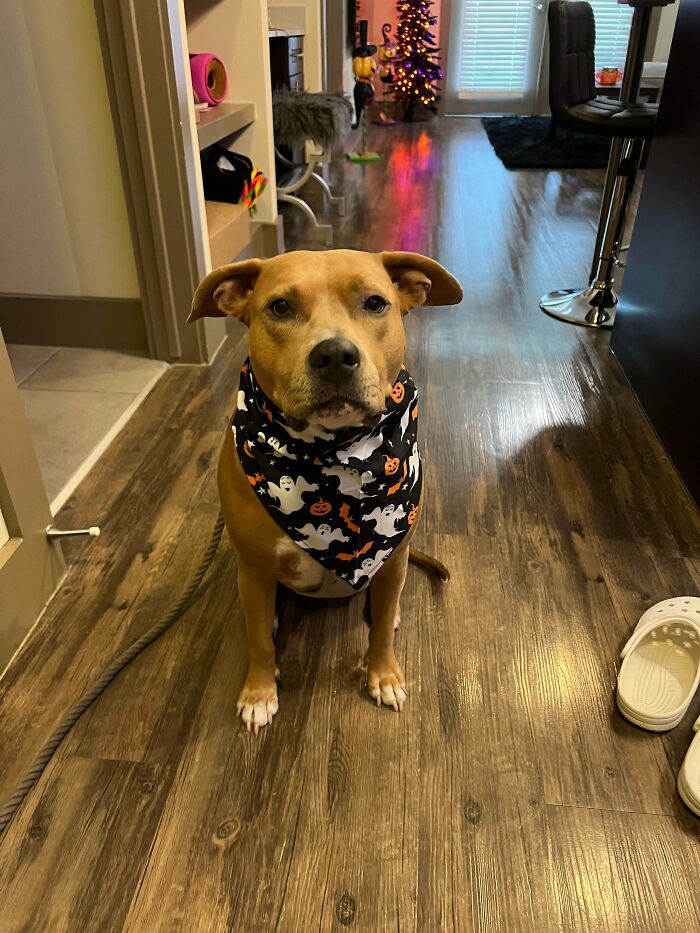 Cheers To Spooky Season