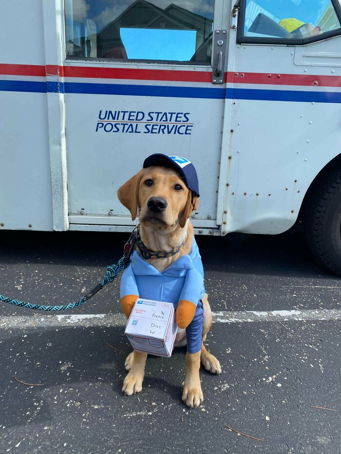 Happy Halloween Hoomans! Here’s Your Mail