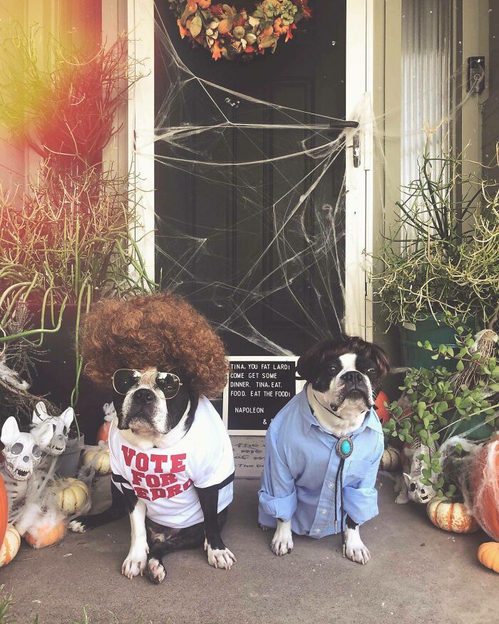 The Worst Day Of My Life, What Do You Think?