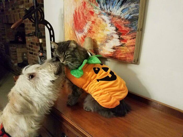 The Kids Are Getting Ready